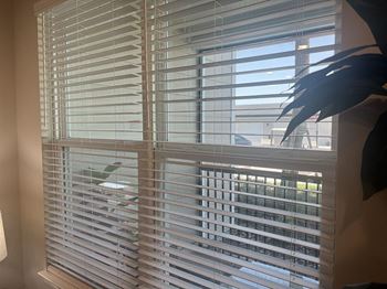 Faux two inch wood blinds
